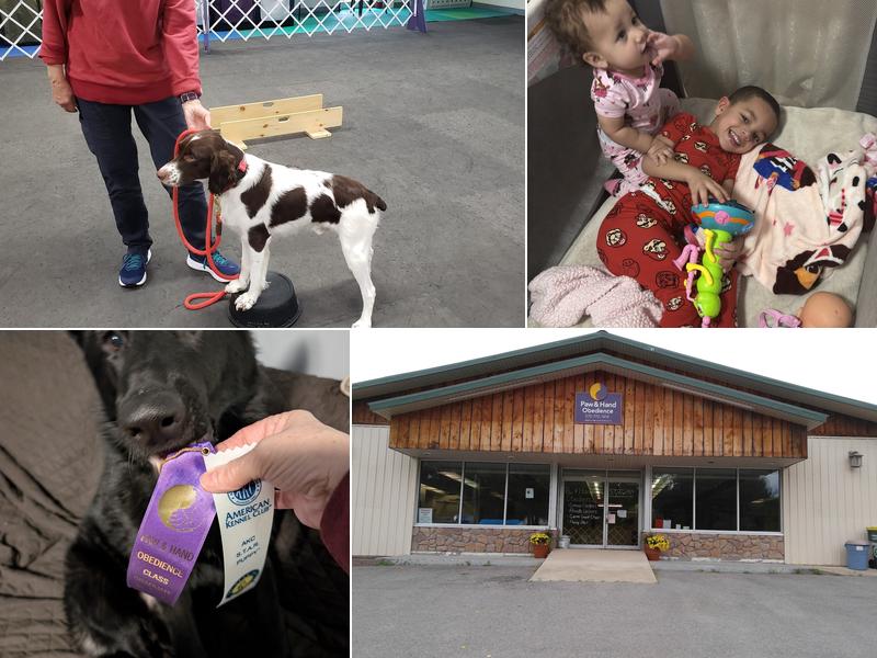 Paw & Hand Obedience