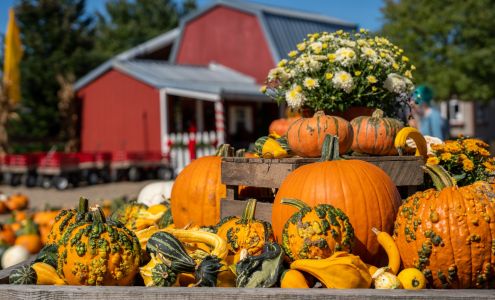 Port Farms Waterford