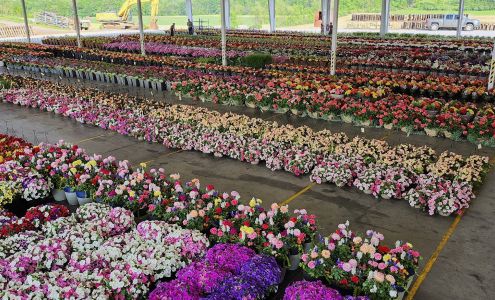 Cumberland Valley Produce