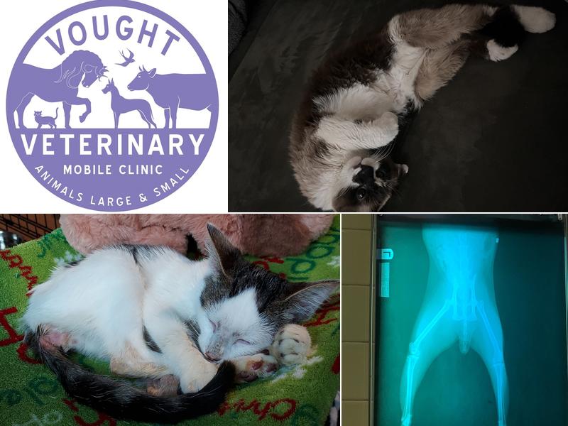 Vought Veterinary Services LLC