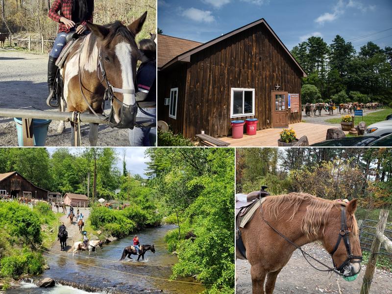 Mountain Creek Riding Stable