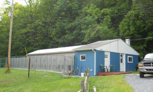 Willow Beach Pet Haven 242 Willow Beach Rd, Portage Pennsylvania 15946