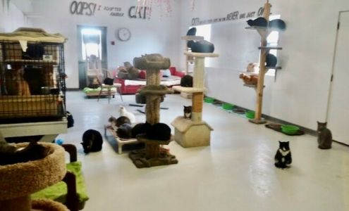 RVAR - River Valley Animal Rescue Momence