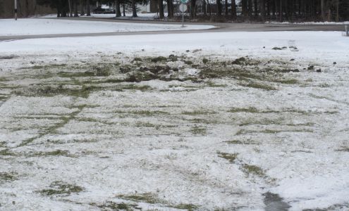 new owner New London