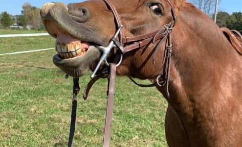 Cardinal Stables and Riding Academy 1009 US-601, Yadkinville North Carolina 27055