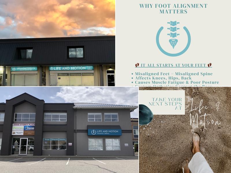 Life and Motion Chiropractic