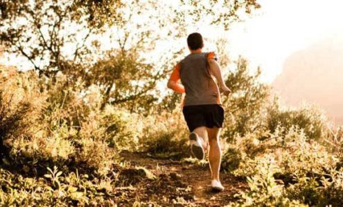 Nelson Chiropractic & Massage