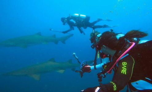 Instigator Fishing and Diving Charters Hubert