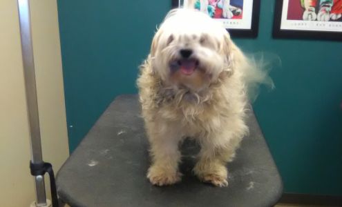 Paw Za-Roo Pet Boarding & Daycare