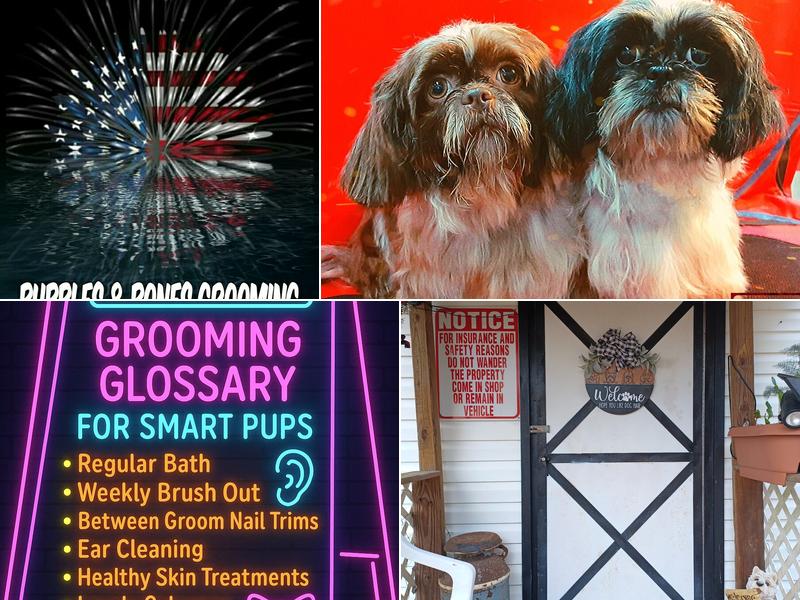 Bubbles and Bones Grooming