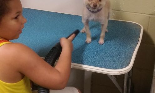 At Home Grooming