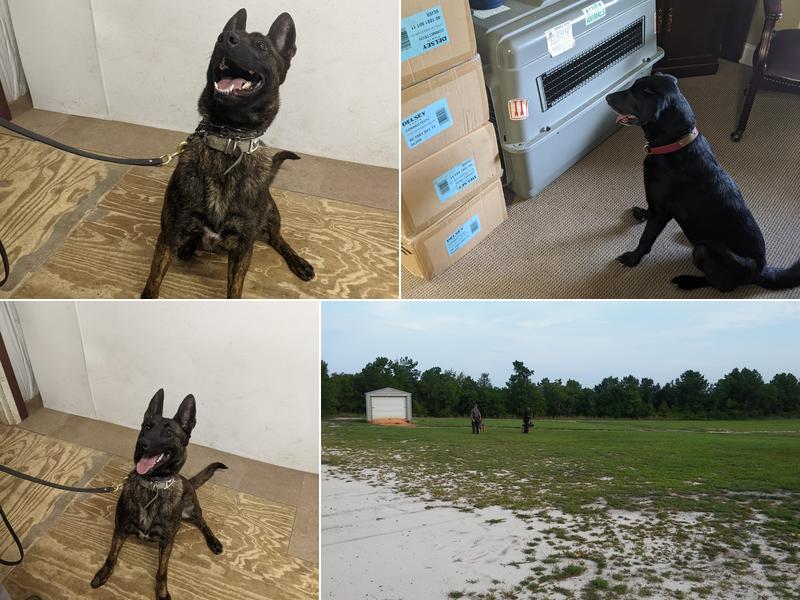 K2 Solutions K9 Training Center