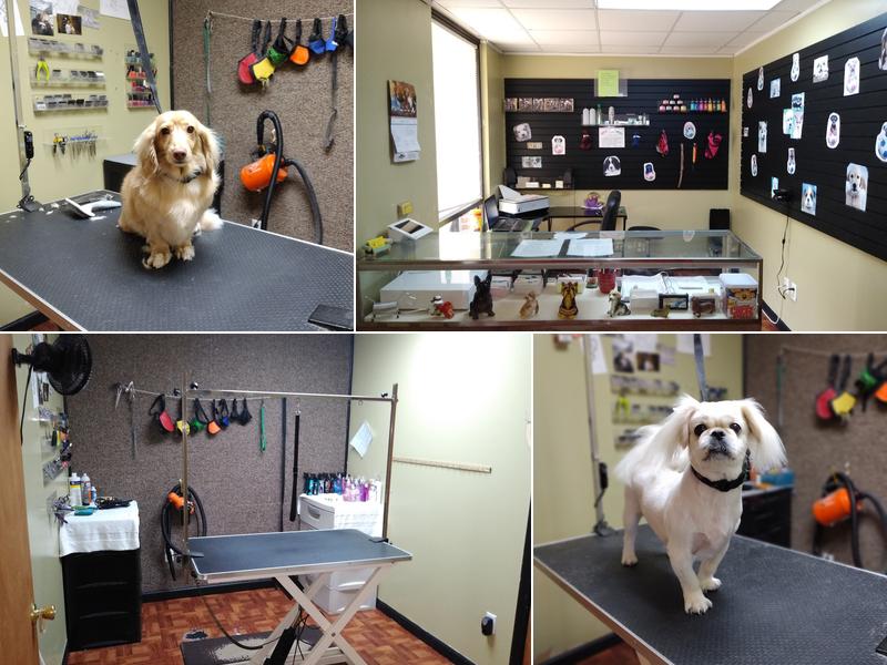 Tender Touch Dog Grooming