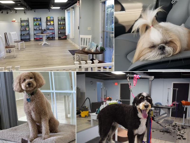 Just Paws Grooming Salon