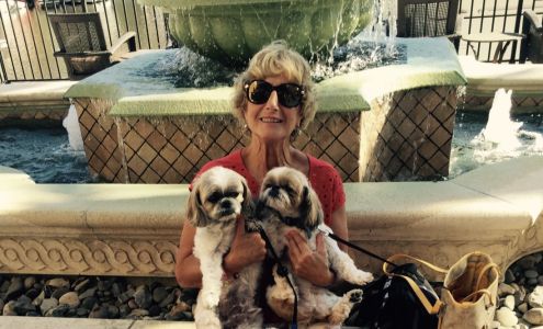 Miss Trish Quality Pet Services