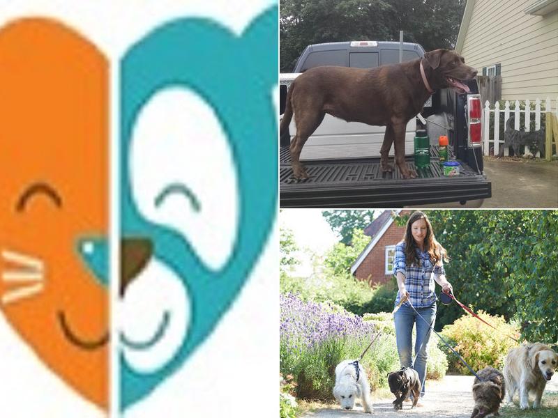 Critter Sitters, Inc.