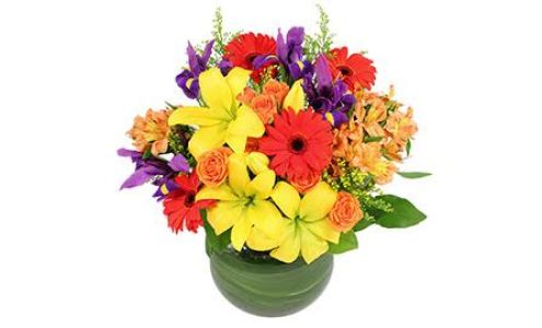 Blooms Brothers Flowers 17975 PA-706, Montrose Pennsylvania 18801