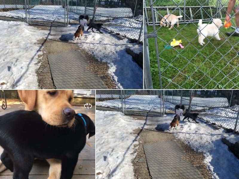 The Playyard and Home