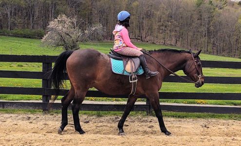 Mountain Creek Farm, LLC East Chatham