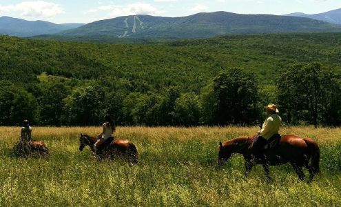 Mountain Brook Farm Windham