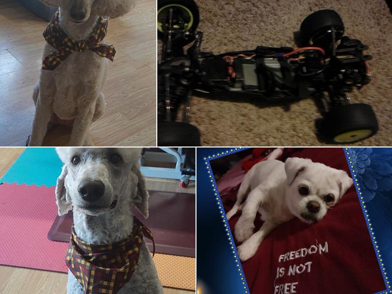 Tails and Paws Pet Care