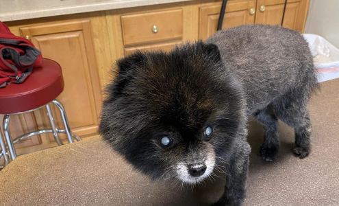 Country Cottage Pet Grooming