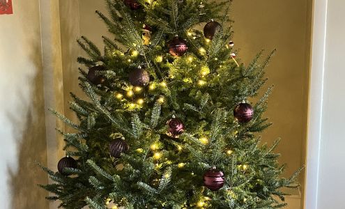 Noel's Tree Farm Litchfield