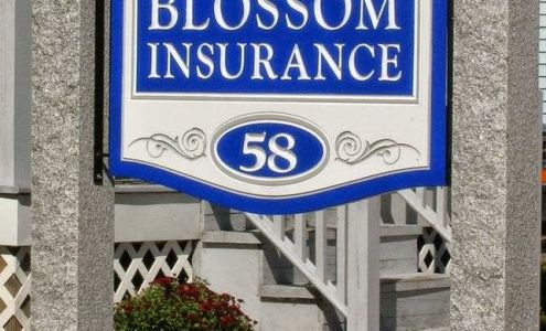 Blossom Insurance