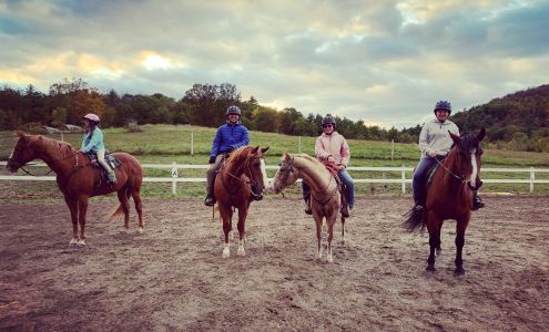 CSG Horsemanship 454 S Mountain View Dr, Willsboro New York 12996