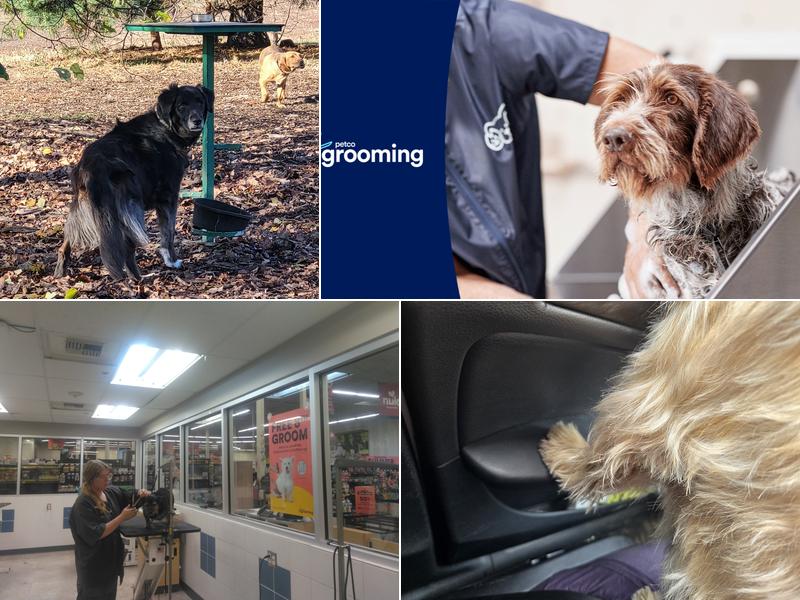 Petco Grooming