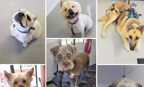 Sunrise Side Grooming Salon 203 N Lake St, Oscoda Michigan 48750