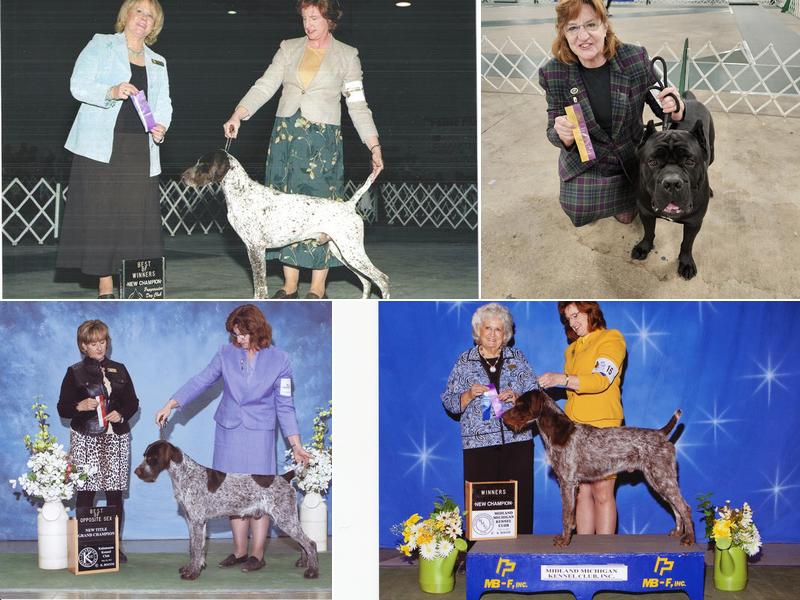 Lori Sargent, Professional Dog Handler