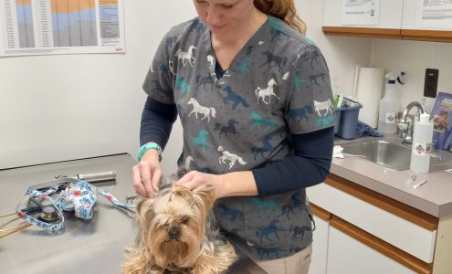 Prairie Creek Veterinary Services Belding