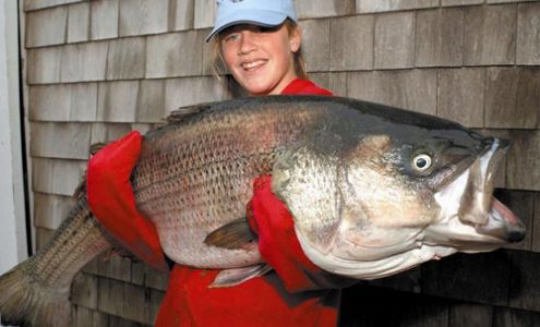 North Shore Charters - Martha's Vineyard Charter Fishing Chilmark