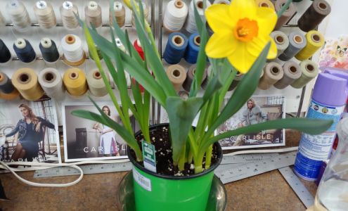 Spring Fresh Cleaners