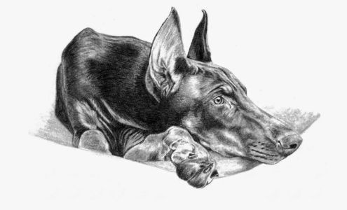 Schlueter Sketch Studios 10601 W Mendell Rd, Princeville Illinois 61559