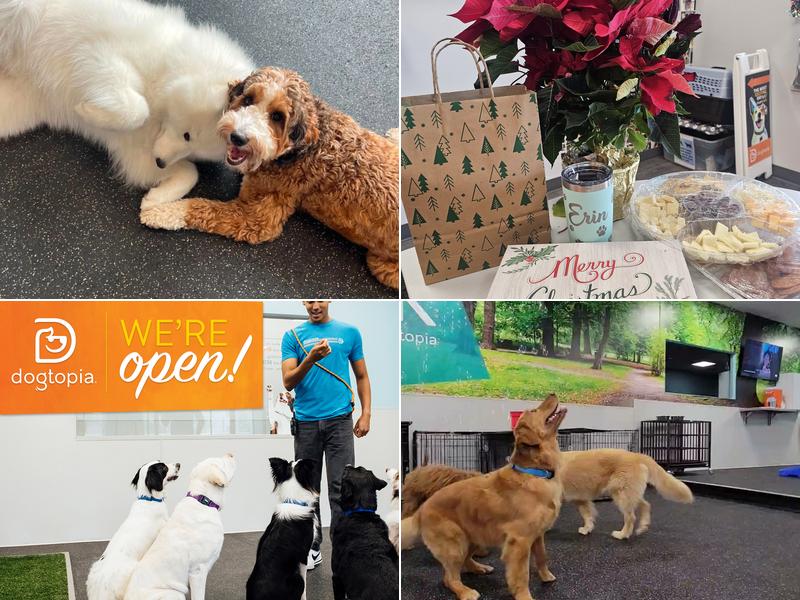 Dogtopia of Cranberry