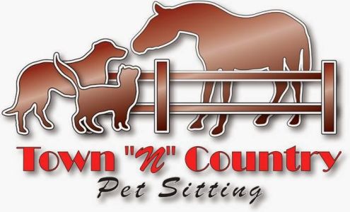 Town "N" Country Pet Sitting Cedar Creek Texas 