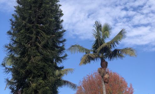 Ucla-Parents Nursery Sch University