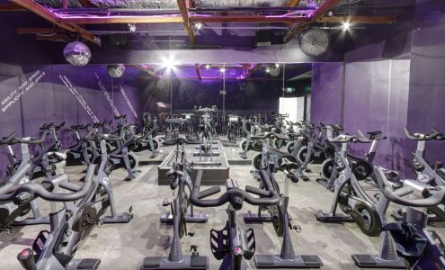 DRAGONFLY CYCLE + TRAIN