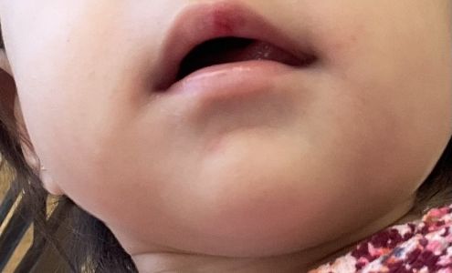 Creative Beginnings Schools