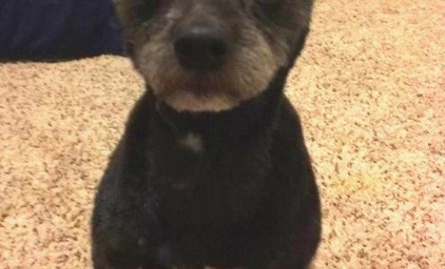 The Fur Tree 6960 N Nechako Rd, Prince George British Columbia V2K 4Z5