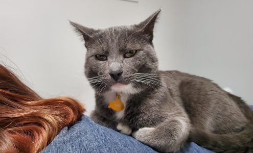 BC SPCA Prince George Spay Neuter Clinic