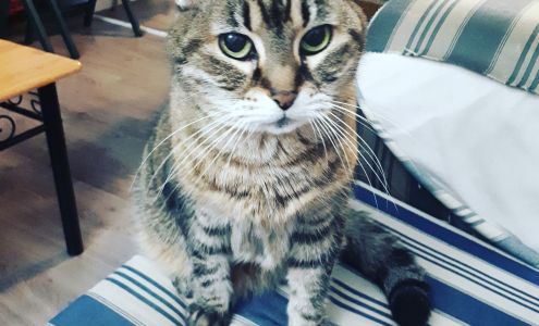 Ospika Animal Hospital 2380 Ospika Blvd S, Prince George British Columbia V2N 3N5