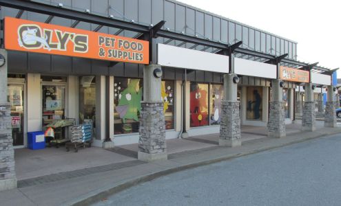 Oly's Pet Connection Mission