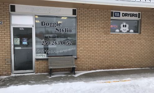 Bernie's Doggie Stylin 8111 100 Ave, Fort St John British Columbia V1J 1W4