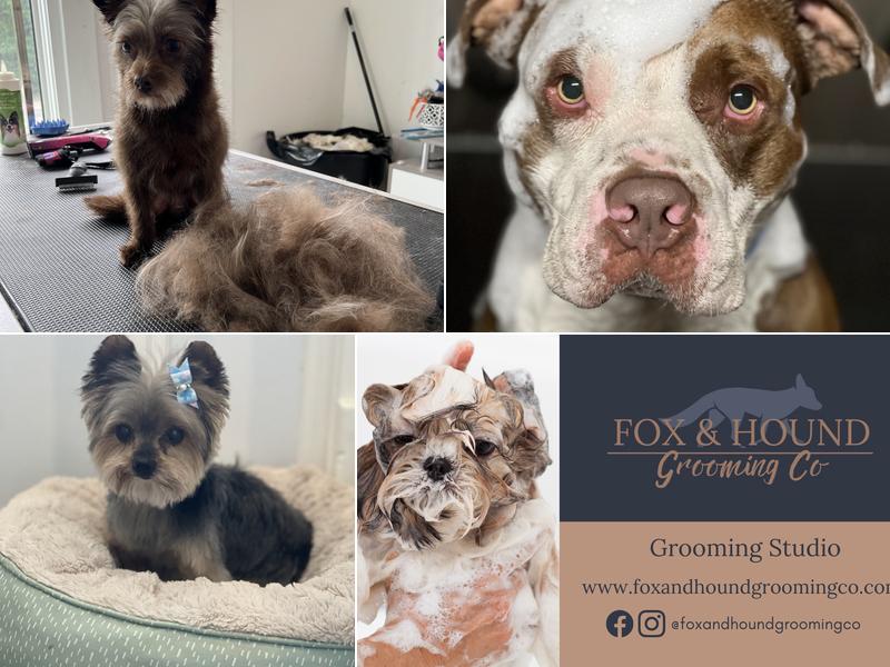 Fox and Hound Grooming Co