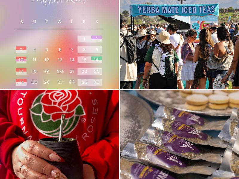 Erva Brew Co. Yerba Mate