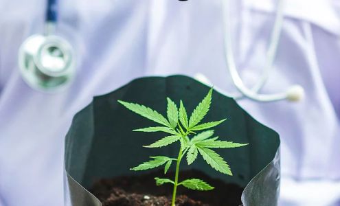 Peoria MMJ-Medical Marijuana Evaluation Clinic