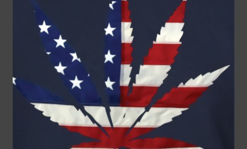 Marijuana Certifications